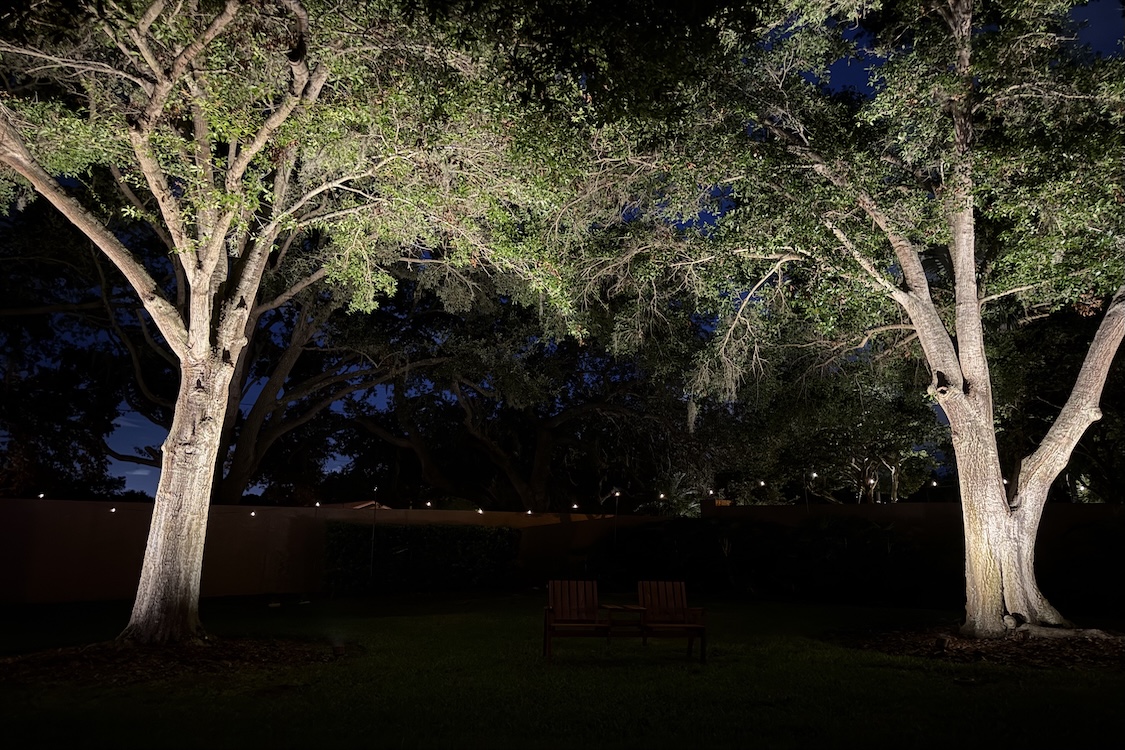 Marietta landscape lighting